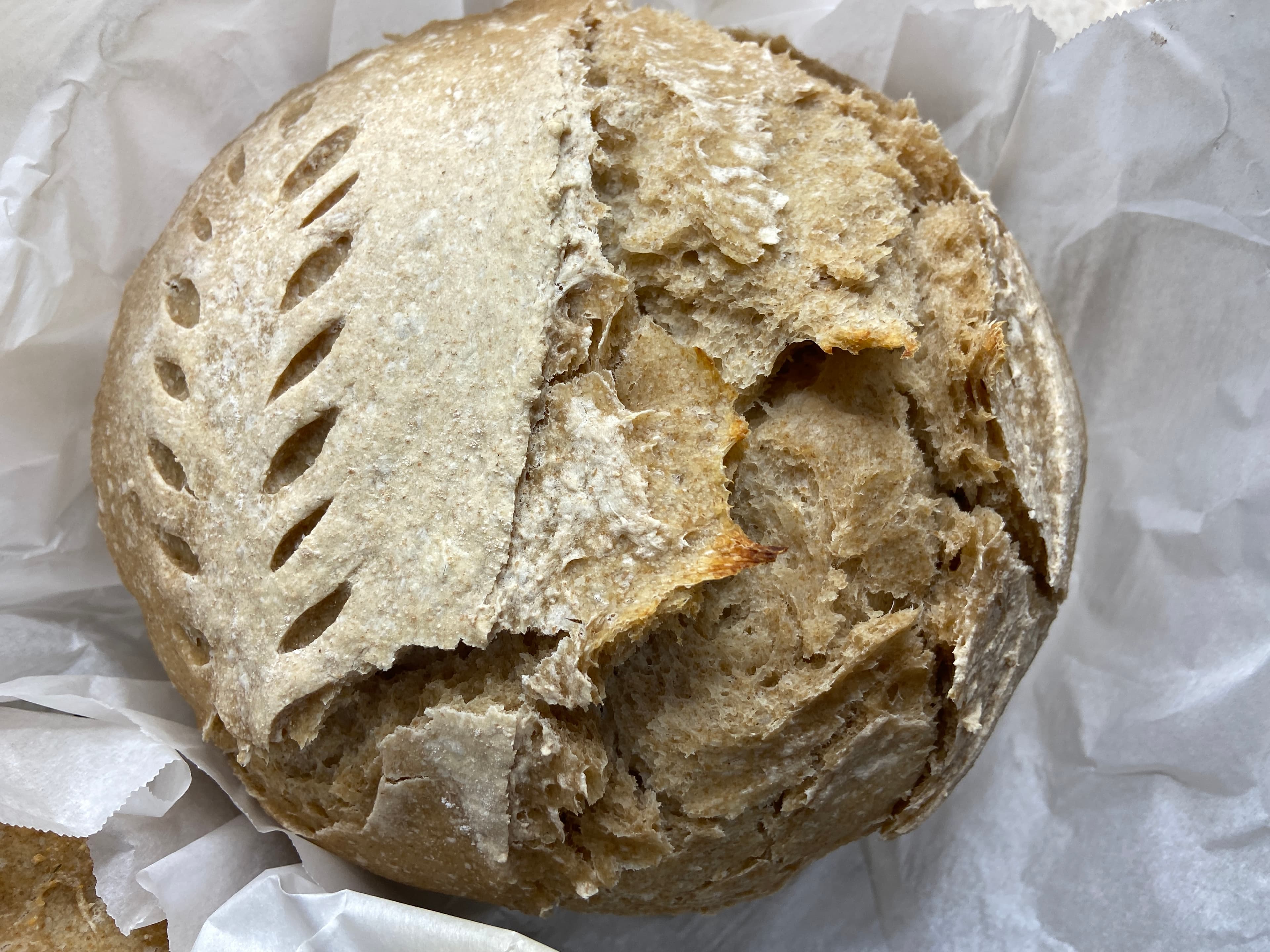 Whole Wheat Sourdough